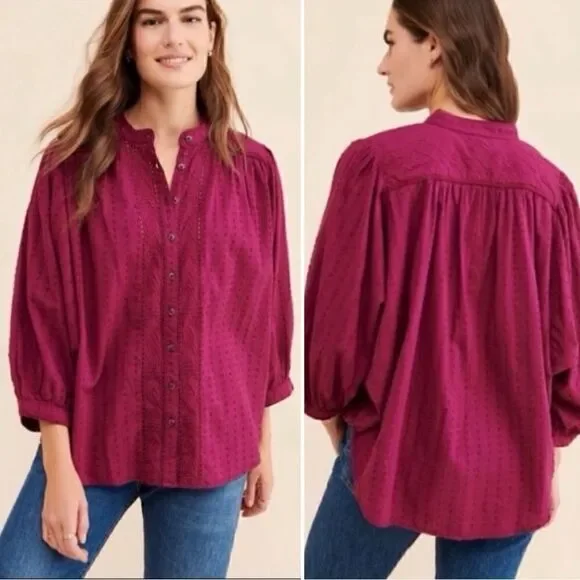 Anthropologie Pilcro Tavi Boho Embroidered Button Down Top