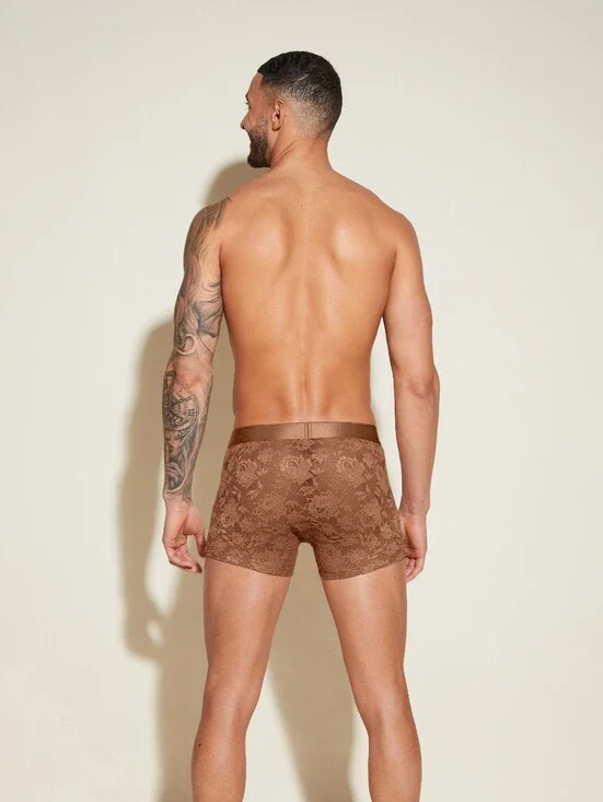 Cosabella Brown Lace Boxer Briefs