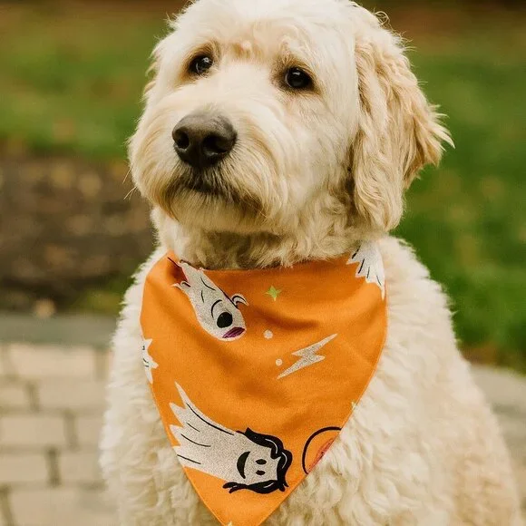 Hyde & EEK! Reversible Ghost & Pumpkin Glow-in-the-Dark Halloween Dog Bandana