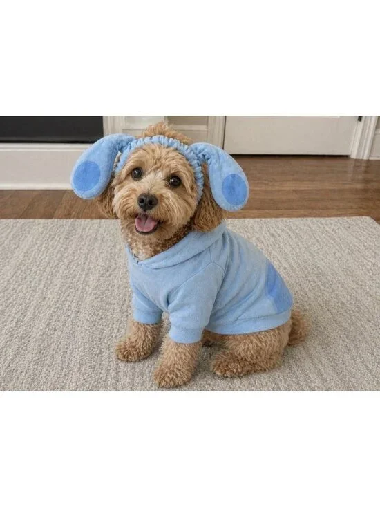 Barkbox Blues Clues Sweatshirt With Ears XS/Small