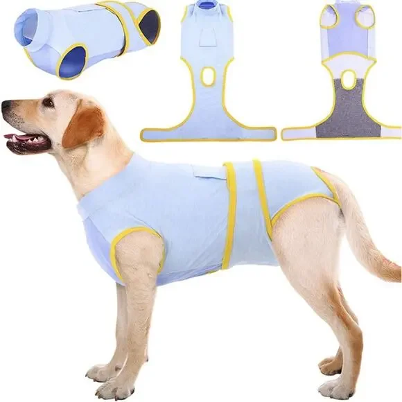 Kuoser recovery suit for dogs after surgery in light blue and‎ yellow.