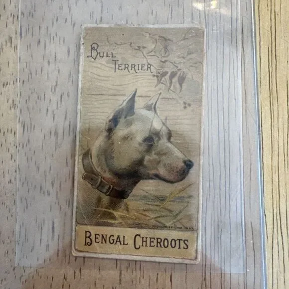 Bengal Cheroots H. Ellis And Co Tobacco Bull Terrier Collector Card 1890s