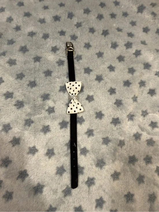 Susan Lanci Black Dog Collar with White Polka Dot Bow small nouveau bow