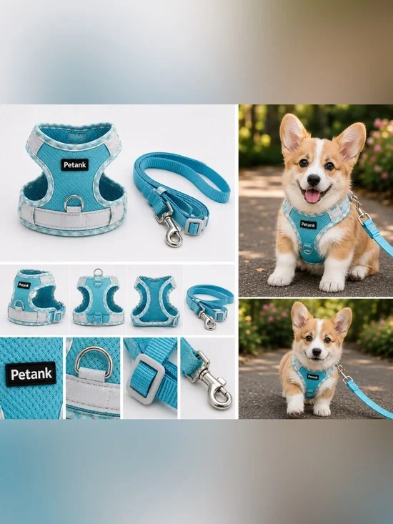 Petank Breathable Mesh Dog Harness & Leash Set - Turquoise