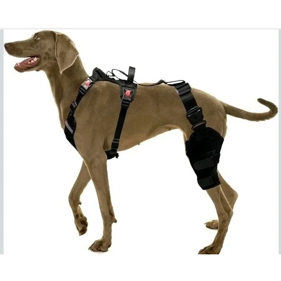 SurfPaws Professional Dog Knee Brace w/ Harness-‎ Large New w/Fast Shipping