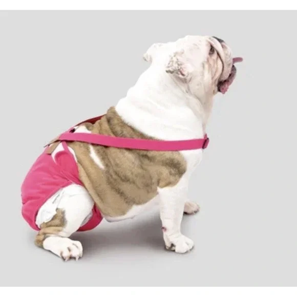 3 Pack Avont Washable Female Dog Diaper with Suspender, Reusable Medium NWT‎