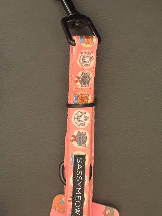 Disney Arostrocat Pet Leash