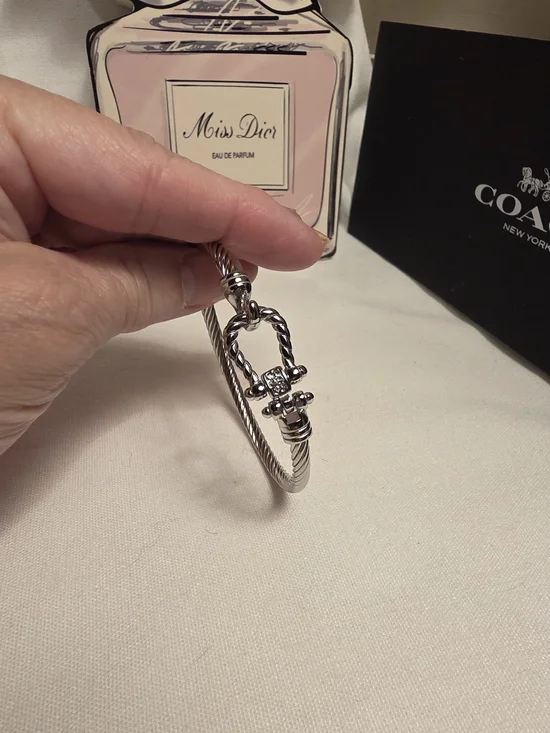 Twisted Silver Tone Cable Bracelet w/HorseShoe Closer