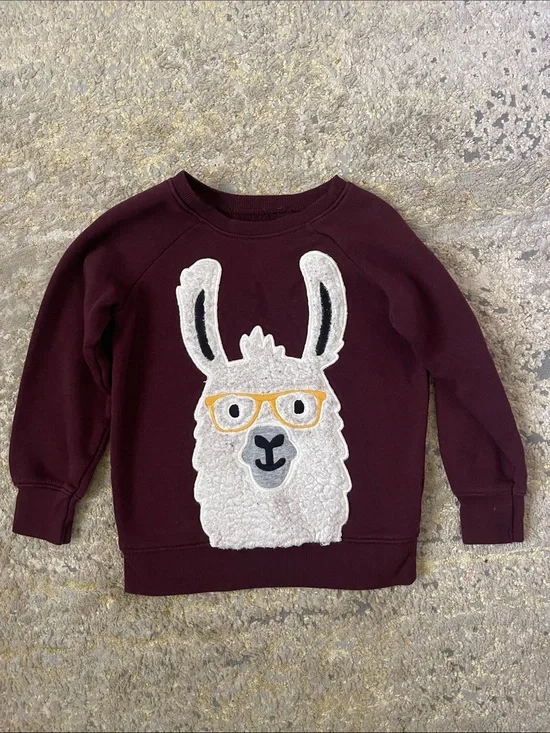 4T llama sweatshirt