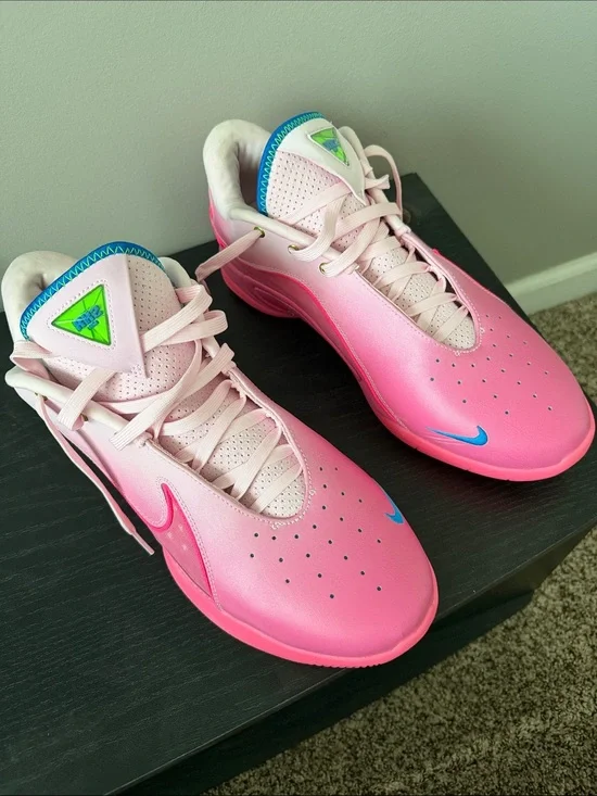 Nike LeBron 22 “I Promise”