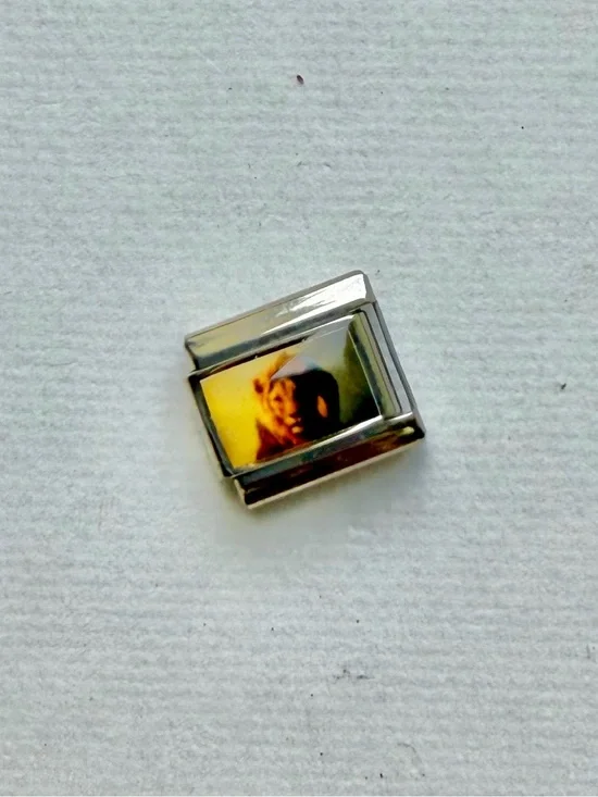 Italian Charm Link with Narnia Aslan Portrait
