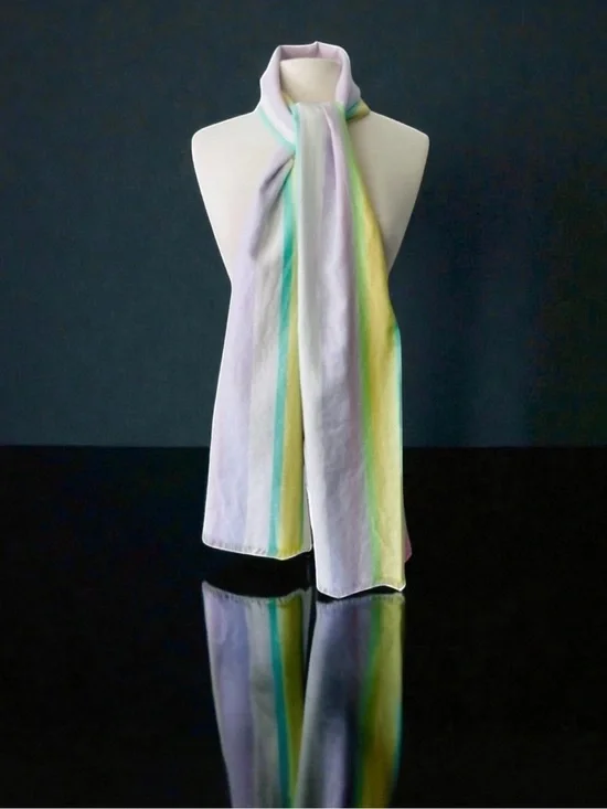 ETRO Cashmere Silk Blend Scarf Shawl New 27x76