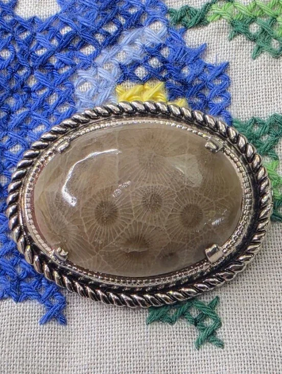 Vintage Fossil Corral Cabochon Stone Oval Brooch 1.25