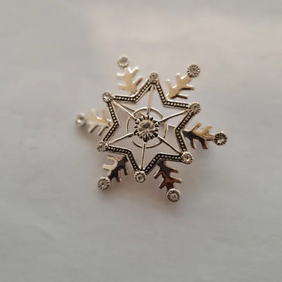 Vintage Elegant Silver Snowflake Brooch