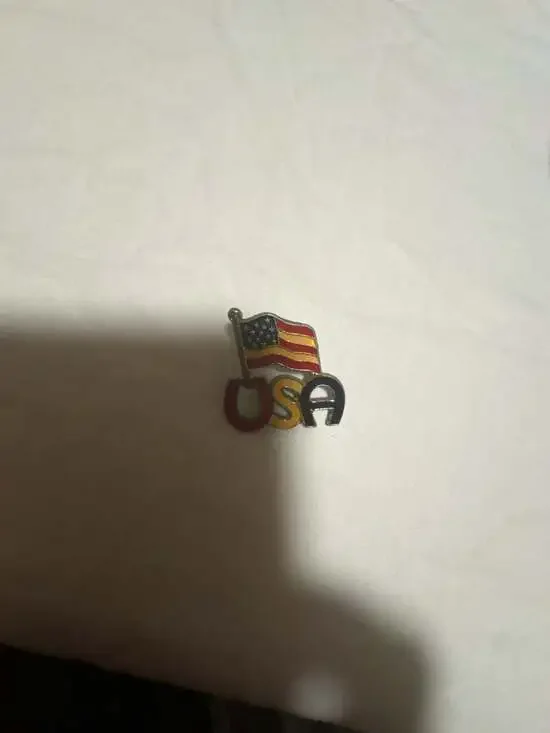 Vintage USA Horseshoe Style American Flag Enamel Lapel Pin