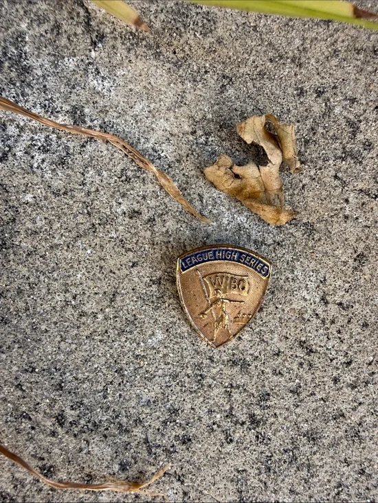 Vintage League High Series WIBC Brass Pin - Blue & Gold