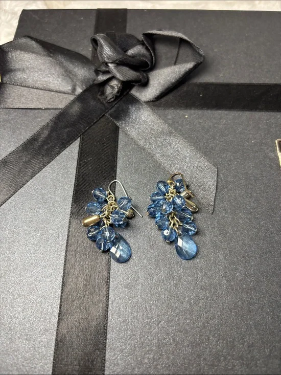 Blue Silver tone Cluster Earrings