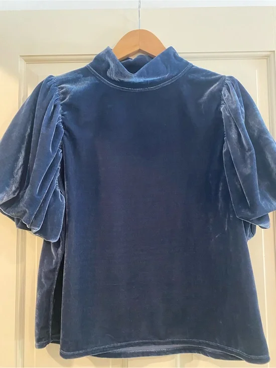 Free People Velvet Puff Sleeve Top in Deep Blue