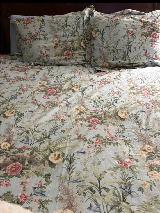 EUC Pottery Barn Queen Duvet & Pair Standard Shams