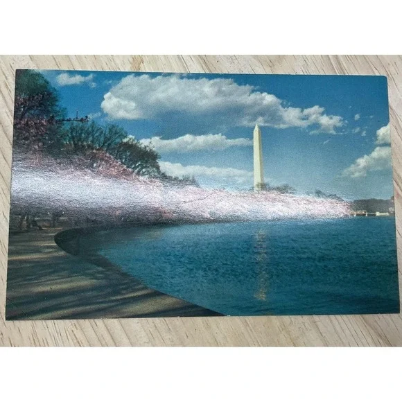 L.B. Prince Co. Postcard Unisex OS Blue Washington Monument Cherry Blossoms