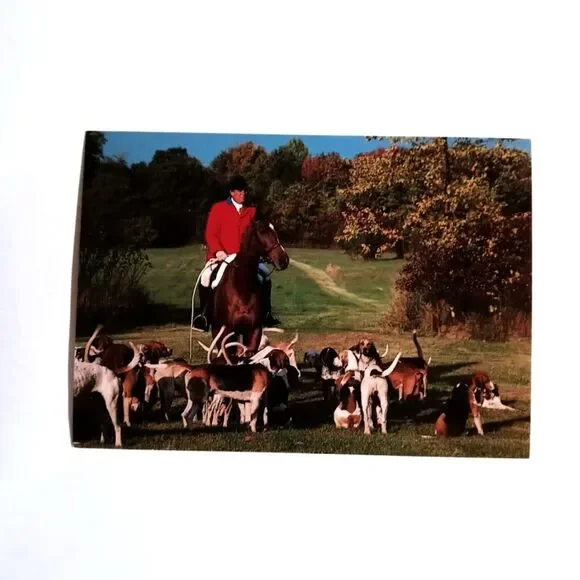 New The Hunt Postcard Metamora MI Horse Blessing Hounds Fox Hunting Unposted