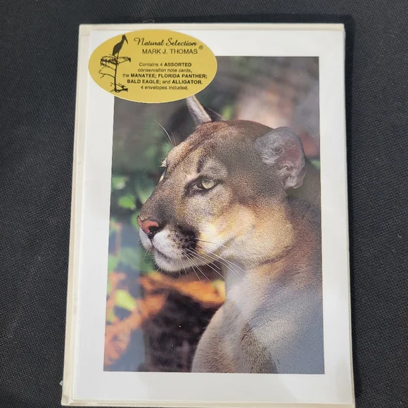Wildlife Greeting Card Set ~ Christmas ~ Florida Photography ~ Vintage Cards