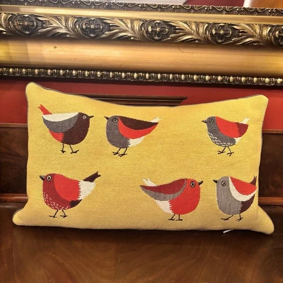 IOSIS Paris Robin Birds Embroidered Throw Pillow 19x12 Farmhouse Cottage Nature