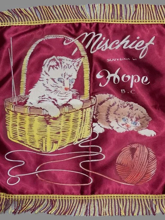 Vintage Hope BC Souvenir Pillow Cover 16