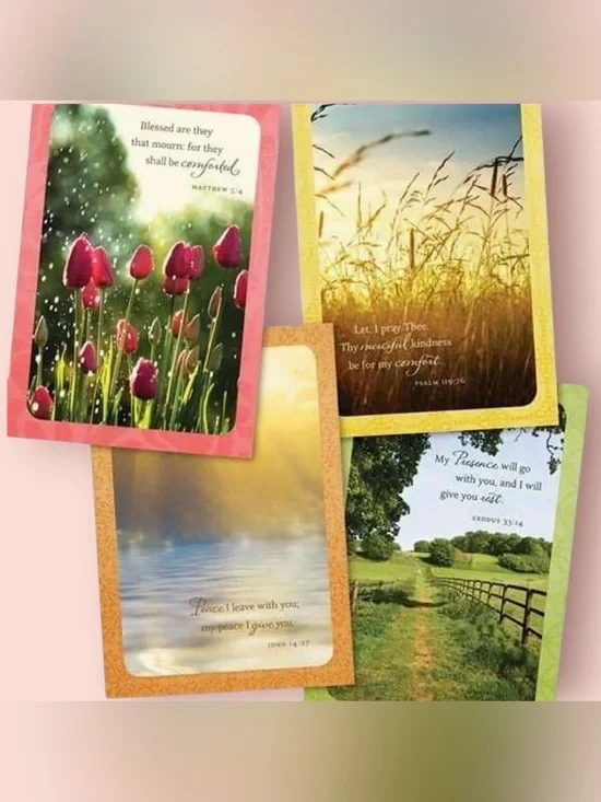 3/$10 DaySpring Praying for You 12 Assorted Cards Religious