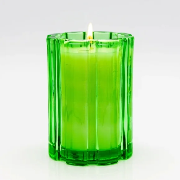Thompson Ferrier Candle Green Coco Palm Bubble Crush Collection