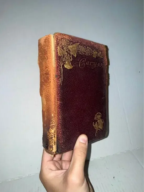 Poems book of Alice and Phoebe Cary (Leather)