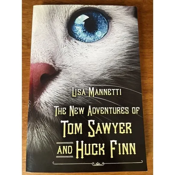 The New Adventures of Tom Sawyer and Huck Finn Paperback Lisa Mannetti 2011