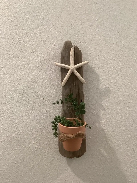 Driftwood Art, Driftwood & Starfish Planter, Driftwood Wall Art