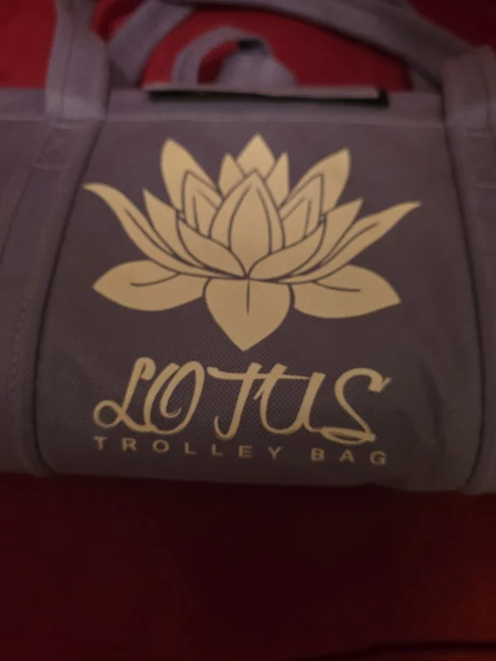 Purple Trolley Bag – Compact Travel Organizer