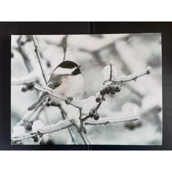 Chickadee Light Up Winter Canvas Wall Art Timer‎ Holiday Christmas