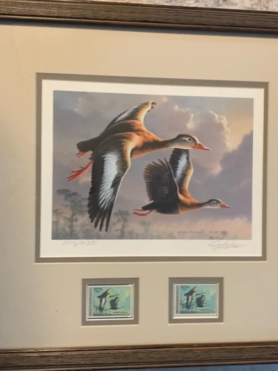 1989 Migratory Bird Hunting Duck Stamp Printd