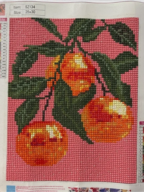 Diamond Art Cherry Canvas Pink Fruit Wall Decor Sealed_Fits 8x10 Frame