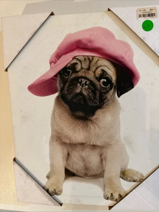 Cute Pug Wall Art - Pink Hat Puppy Print
