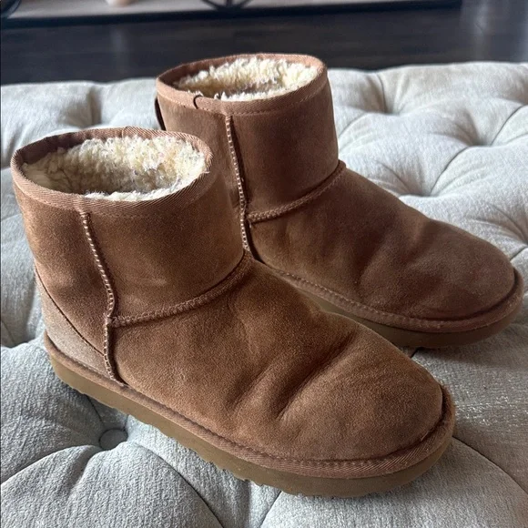 UGG Chestnut Suede Boots with‎ Plush Lining