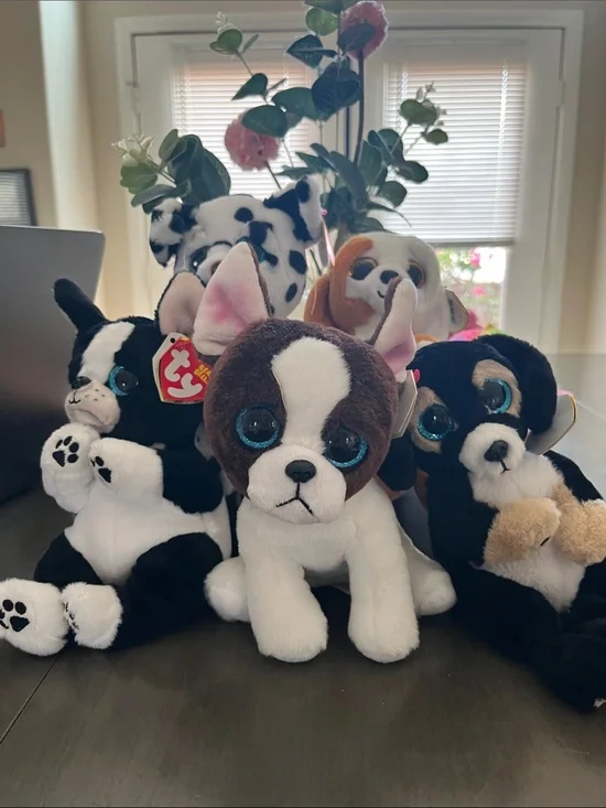 Ty Plush Puppy Collection - Brown, White, Black with Sparkly Blue Eyes