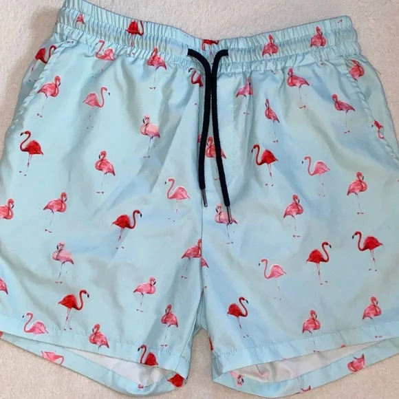 Flamingo print light blue background men’s shorts unlined elastic drawstring