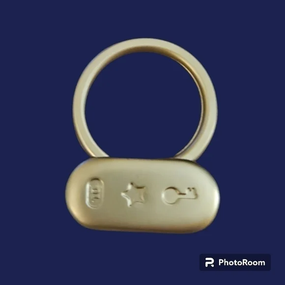 5/$25 Weight Watchers 10 Pound Loss Key Fob