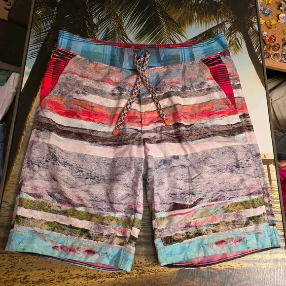 Robert Graham Mens Abstract Landscape Board Shorts Multi Color Swim Trunks‎ 34