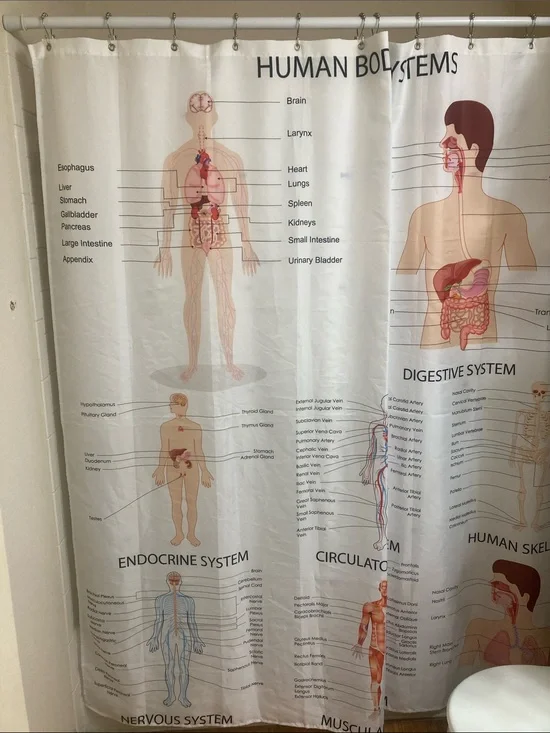 Human Body Systems Anatomy Shower Curtain