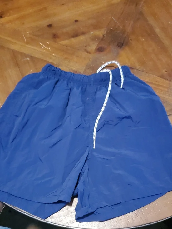 Lands' End Blue Men's Swim Trunks with Drawstring