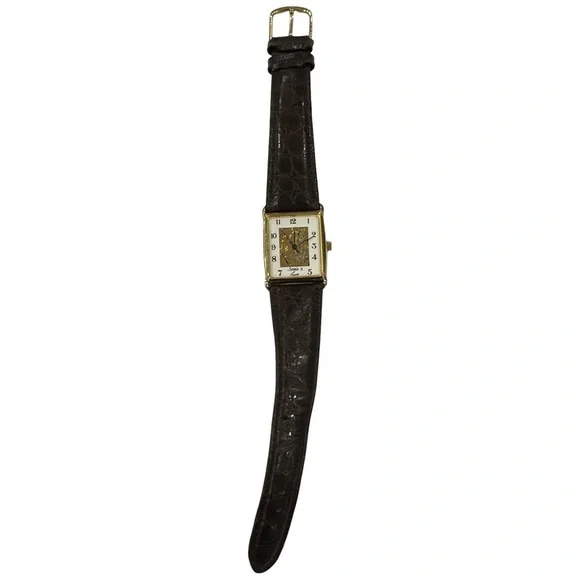 Elegant Gold and Brown Watch