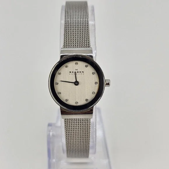 Skagen‎ Women's Analog Watch 22MM Gray Dial Gray Mesh Bands New Battery