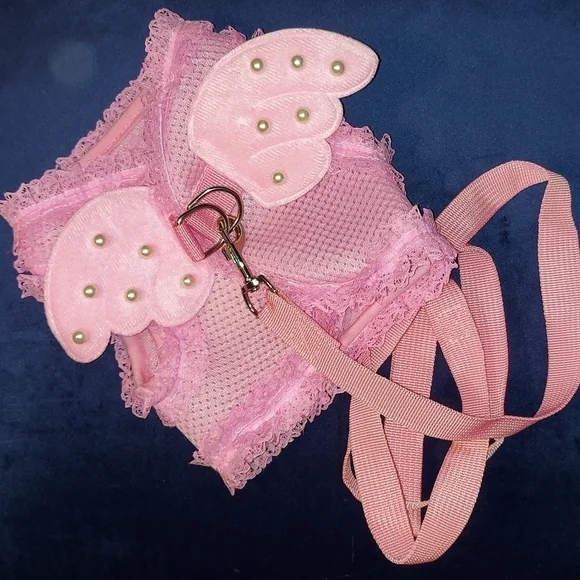 Doggie wear Angel outfit