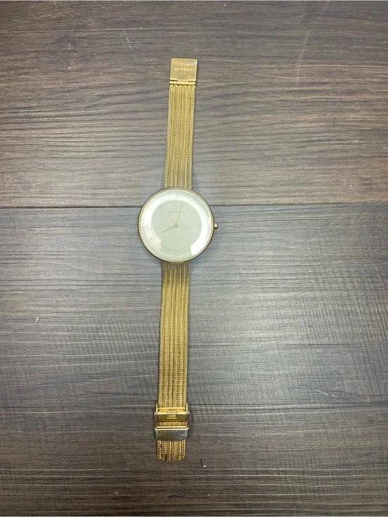 Skagen SKW2243 Womens Watch (unsure if this works)