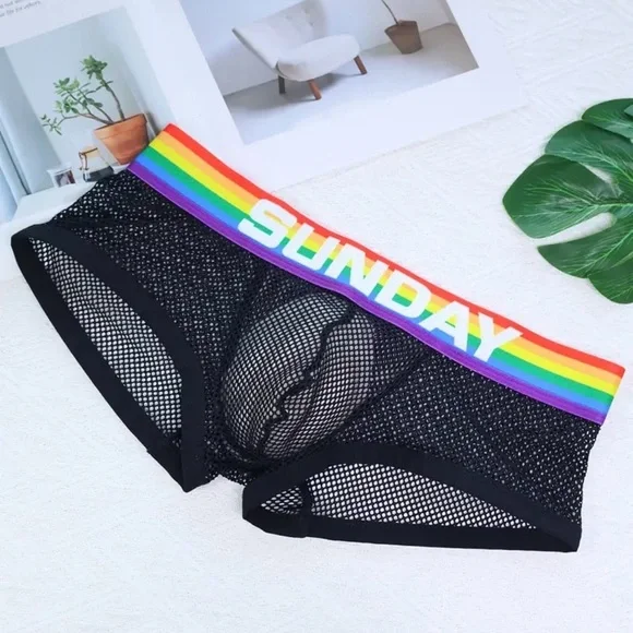 Black Mesh Boxer Briefs with Rainbow Waistband